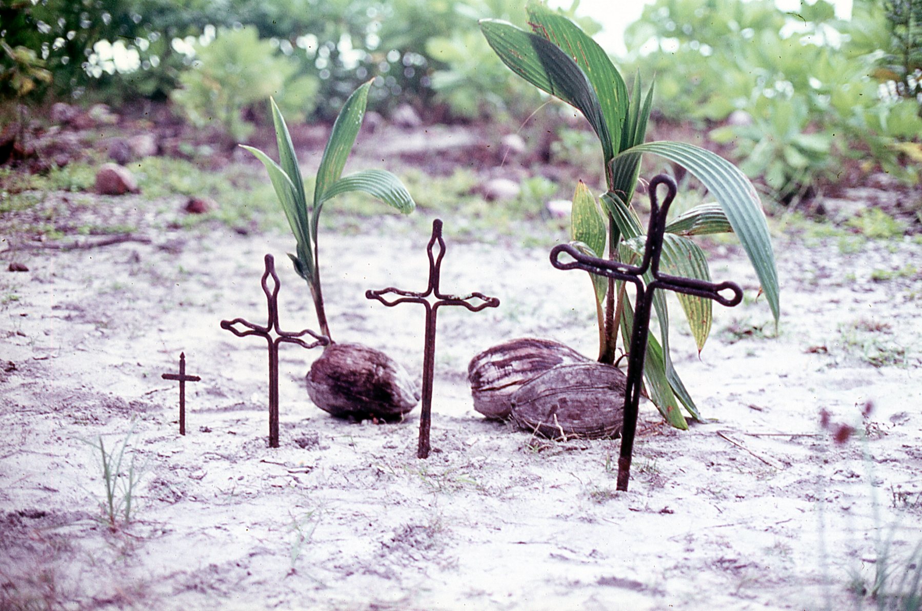 1972 Diego Garcia